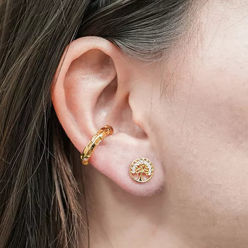 Par de topos tree of life with zircons