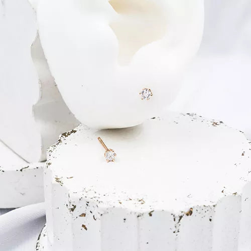 Par de topos mini en rodio small circular zircon