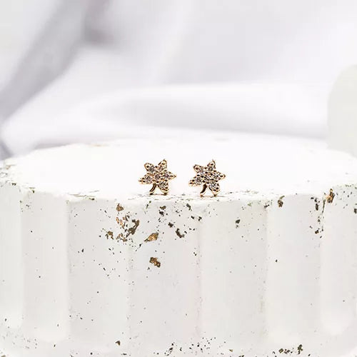Par de topos mini en rodio small star leaf