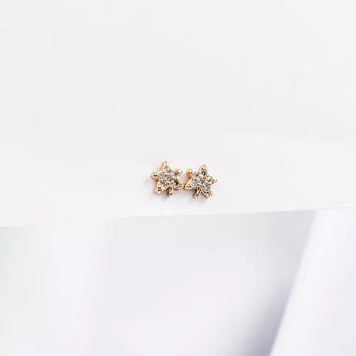 Par de topos mini en rodio star-shaped leaf